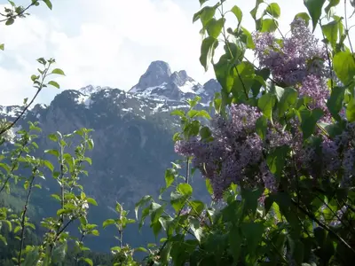 Ein allgemeiner Bergblick oder ein Berglick von der Ferienwohnung aus