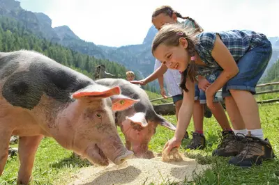 Tiere in der Ferienwohnung oder in der Nähe
