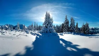 Ridehouse im Winter