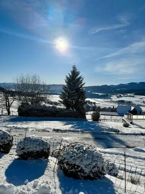 Naturlandschaft in der Nähe der Ferienwohnung