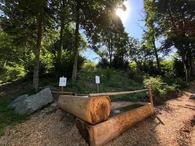 Ein Garten an der Unterkunft Landhotel Laudersbach