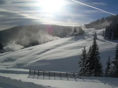 Monarchia Park im Winter