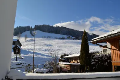 Hotel und Alpen Apartments - Bürglhöh im Winter
