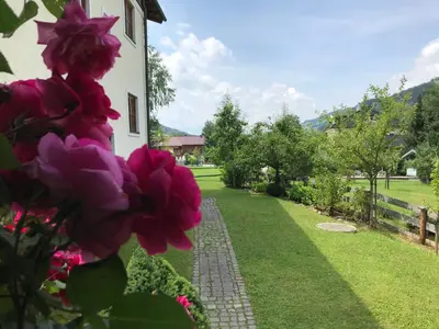 Ein Garten an der Unterkunft Haus Johannes
