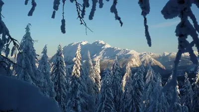 Ein allgemeiner Bergblick oder ein Berglick von der Ferienwohnung aus