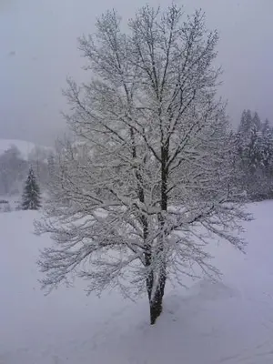 Kiblerhof im Winter
