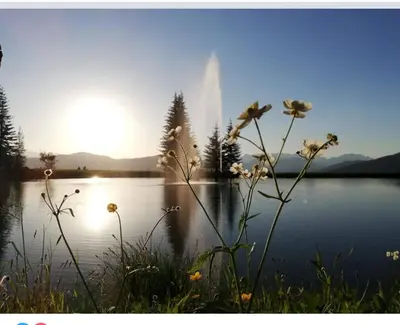 Naturlandschaft in der Nähe des Privatzimmers
