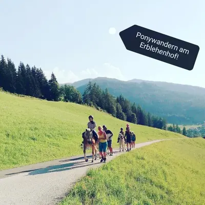 Gäste, die in der Unterkunft Erblehenhof übernachten