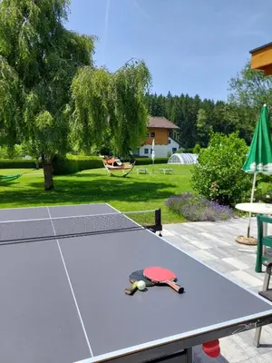 Tischtennis in der Unterkunft Landhotel Häuserl im Wald oder in der Nähe