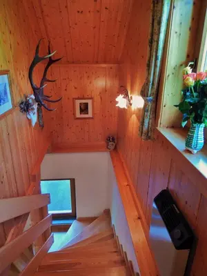 TV/Unterhaltungsangebot in der Unterkunft Kleines Ferienhaus Koglerhütte