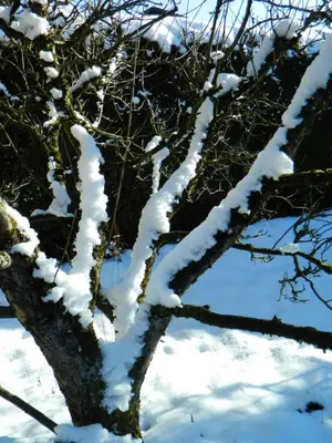 Budgetzimmer Irdning im Winter