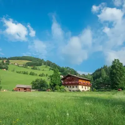Bauernhof Auhof