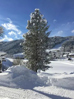 Schmiedsipplhof im Winter