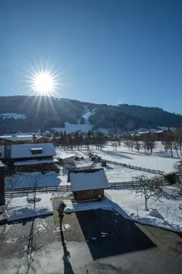 Naturlandschaft in der Nähe der Pension