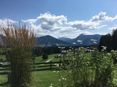 Naturlandschaft in der Nähe der Ferienwohnung