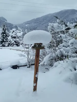 Pension Unterhof im Winter
