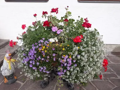Ein Garten an der Unterkunft Pension Unterhof