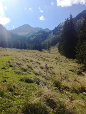 Naturlandschaft in der Nähe der Ferienwohnung