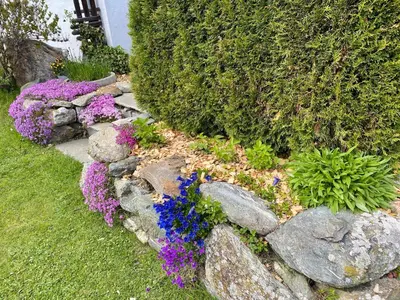 Ein Garten an der Unterkunft Apartment Schlickenhof