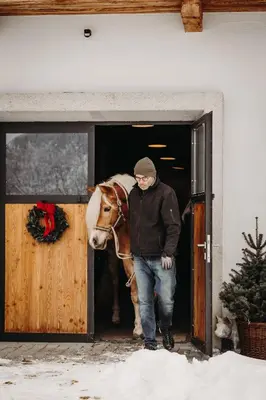 Tiere im Hotel oder in der Nähe