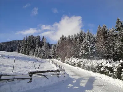 Hotel Pension Schwaiger im Winter