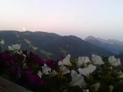 Naturlandschaft in der Nähe der Pension