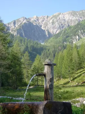 Naturlandschaft in der Nähe der Ferienwohnung
