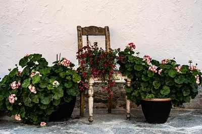 Ein Garten an der Unterkunft Biobauernhof Gast