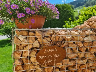 Naturlandschaft in der Nähe der Ferienwohnung