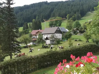 Naturlandschaft in der Nähe der Ferienwohnung