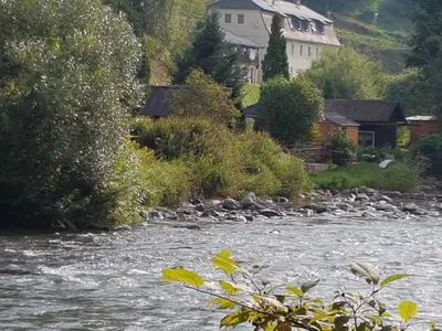 Naturlandschaft in der Nähe der Ferienwohnung