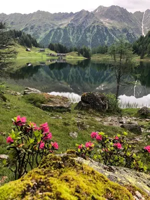Naturlandschaft in der Nähe des Hotels