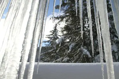 Alpen Appartements Zauchensee im Winter