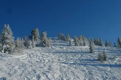 Alpen Appartements Zauchensee im Winter