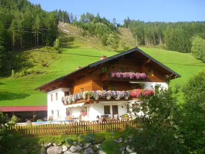Naturlandschaft in der Nähe der Ferienwohnung