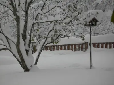 Untersteinhof im Winter