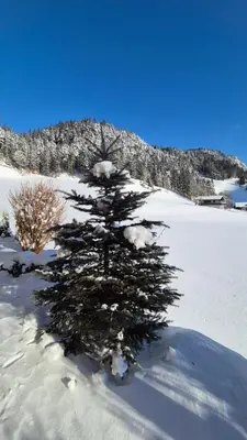 Ferienhaus Elisabeth im Winter