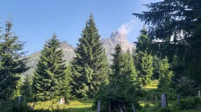 Naturlandschaft in der Nähe der Ferienwohnung
