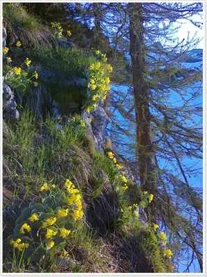 Naturlandschaft in der Nähe der Ferienwohnung