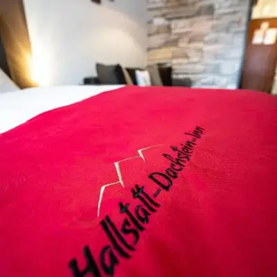 Hallstatt Dachstein Inn
