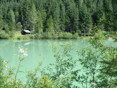 Naturlandschaft in der Nähe der Ferienwohnung