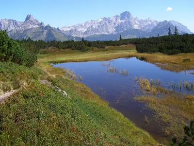 Naturlandschaft in der Nähe der Ferienwohnung