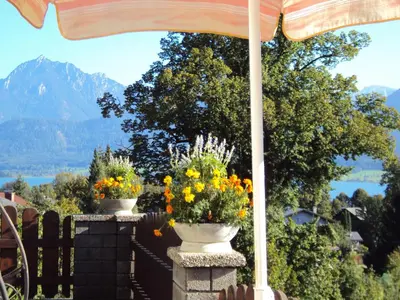 Naturlandschaft in der Nähe der Ferienwohnung