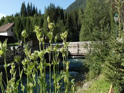 Naturlandschaft in der Nähe des Ferienhauses