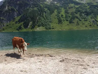 Naturlandschaft in der Nähe der Ferienwohnung