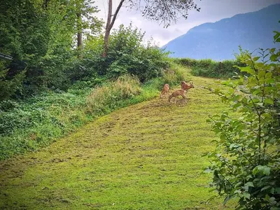 Naturlandschaft in der Nähe des Ferienhauses