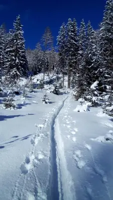 Sonnen-Appartement Heidi im Winter