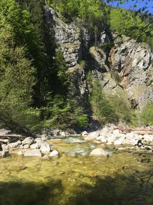 Naturlandschaft in der Nähe der Ferienwohnung