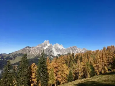 Naturlandschaft in der Nähe der Pension