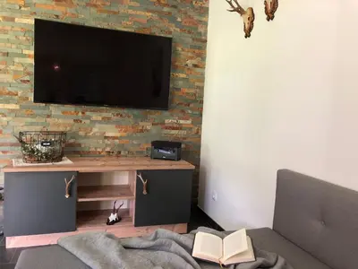 TV/Unterhaltungsangebot in der Unterkunft Am Holzmeisterweg 31 